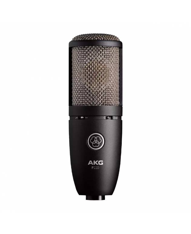 AKG P220 Large Diaphragm Studio Condenser Microphone with Shock Mount